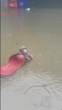 伴娘不够伴郎来凑完整版,伴娘不够弟弟来凑