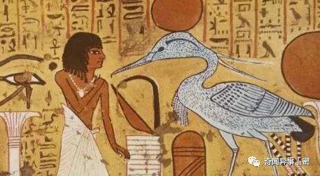 埃及未解之谜奇闻异事,古埃及十大奇葩神秘事件