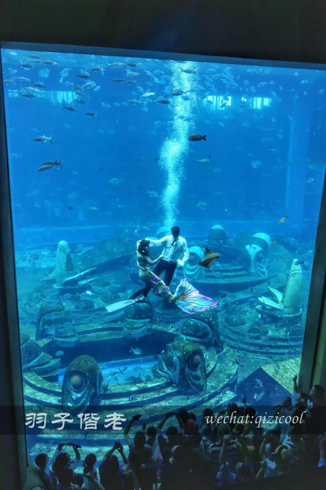 三亚亚特兰蒂斯水世界游玩路线,三亚亚特兰蒂斯水上乐园游玩项目