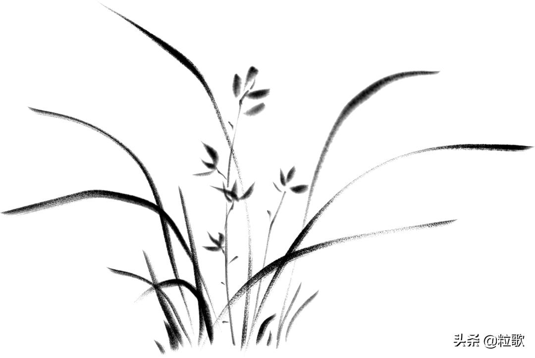 小麦用水溶肥提质增产,小麦防虫防病八合一高产水溶肥