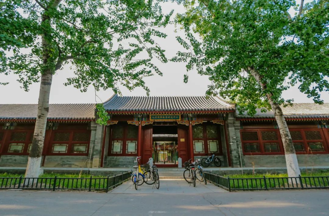 在北大当教授的条件,在北大数院成为一个普通人