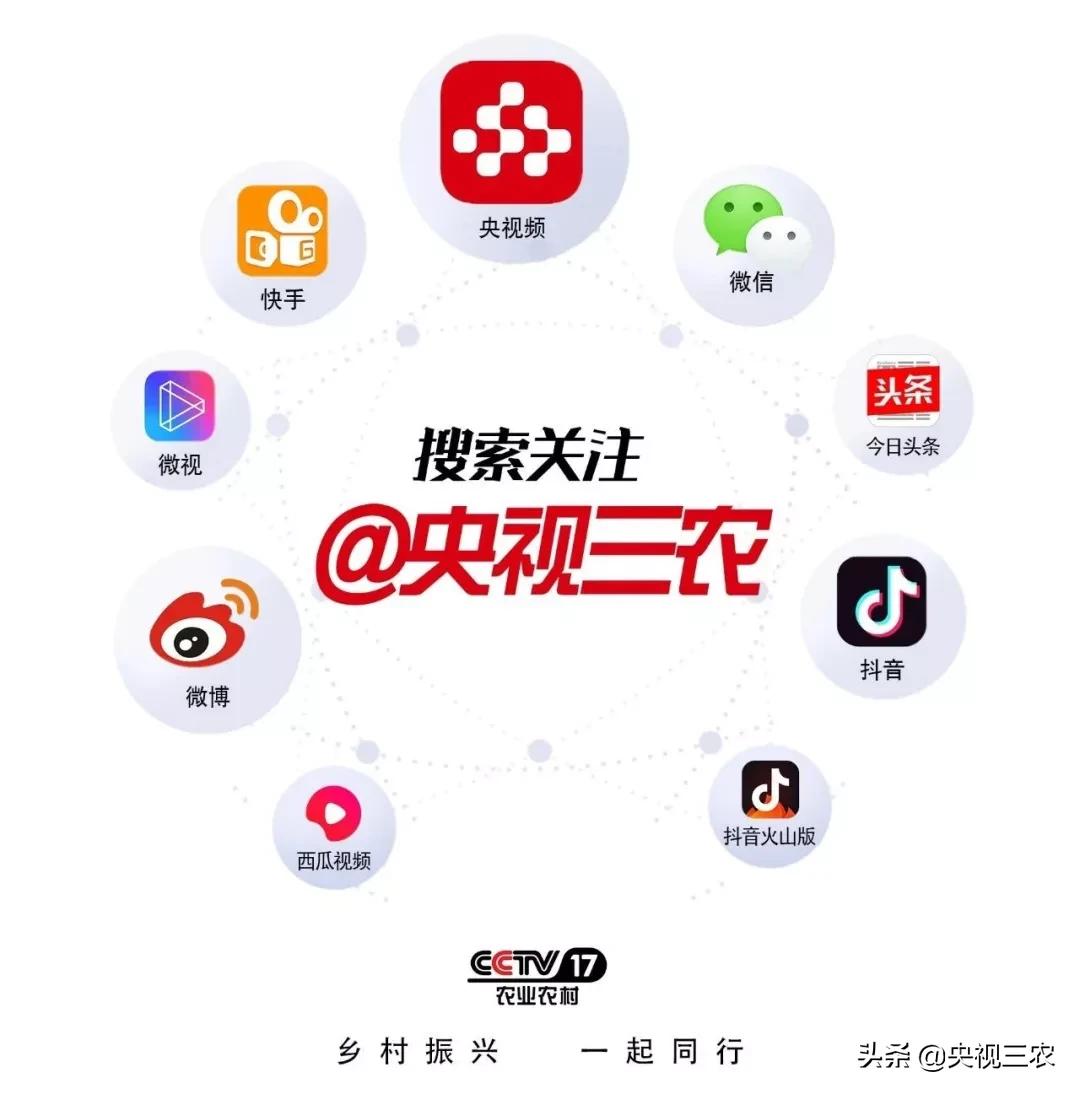 果蔬可以用什么进行浸泡消毒,果蔬能用碱洗吗
