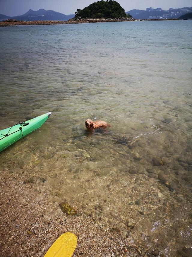香港最后一片净土避世天堂,香港西贡一日游攻略图