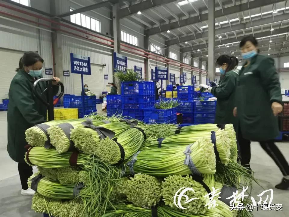 亚波书记带队奔赴十堰这些县市区，现场点评来了！