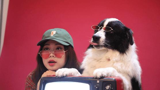 Pick到一家宝藏「宠物写真馆」!福利已谈好,铲屎官快冲鸭