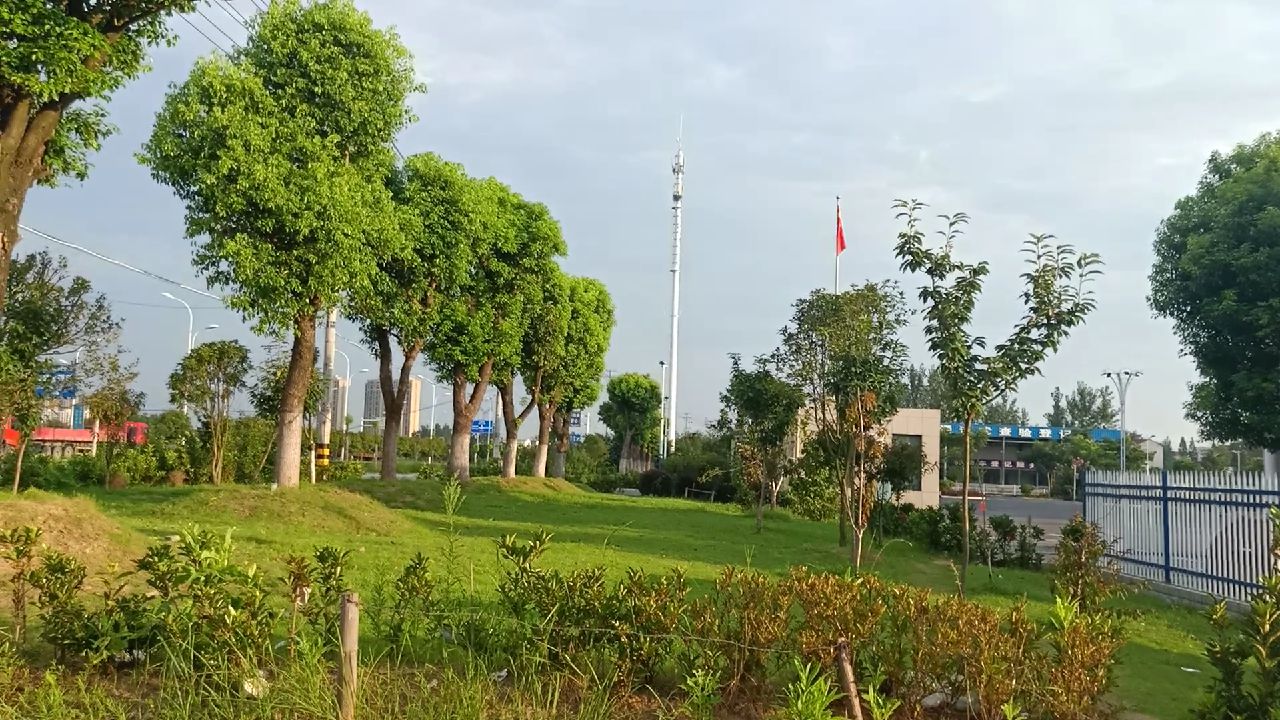 几百人参加考试，年龄最大的达侠考科目一是怎么一次性通过的？