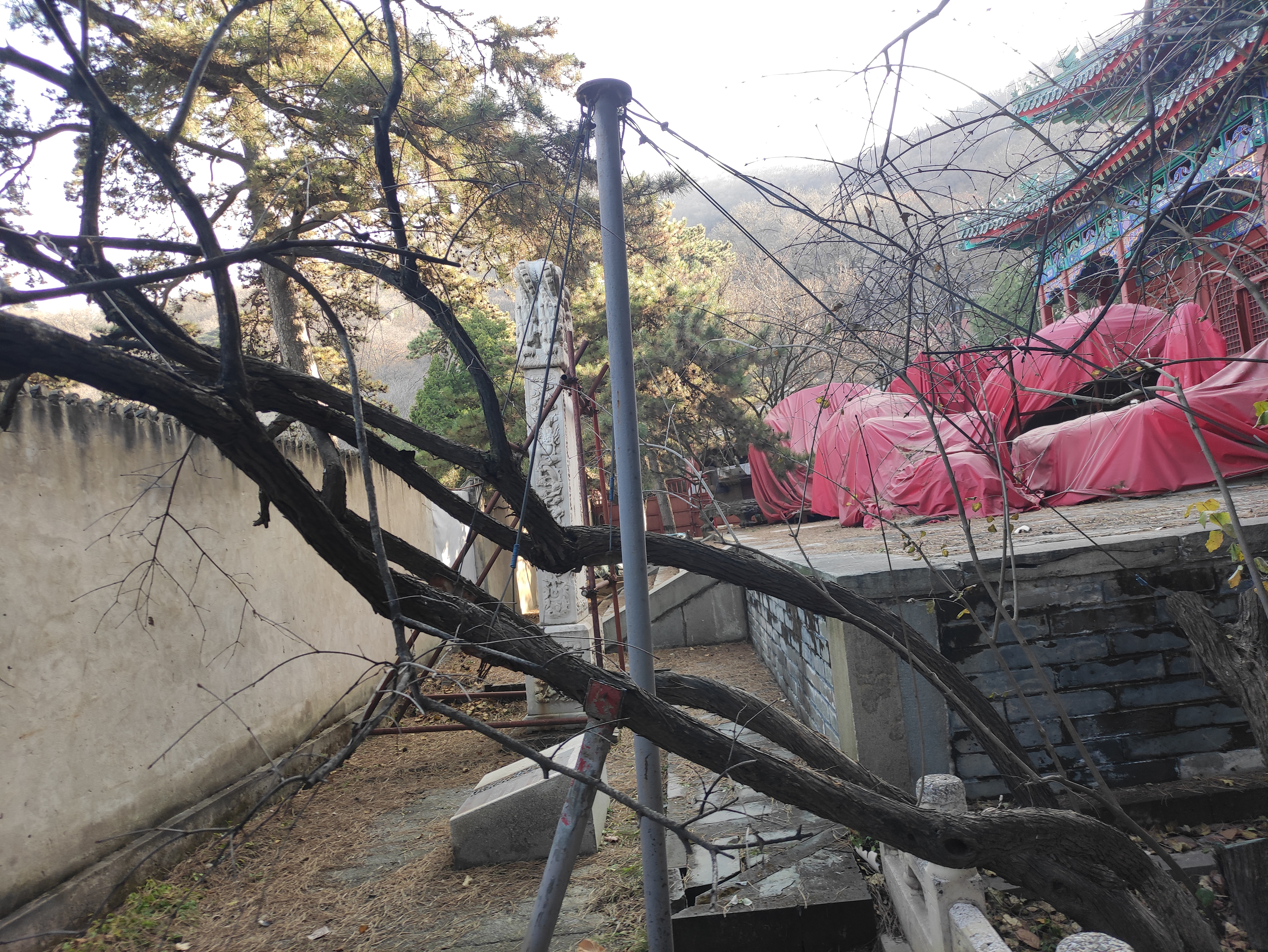 玉台寺攻略一日游,戒台寺游玩顺序