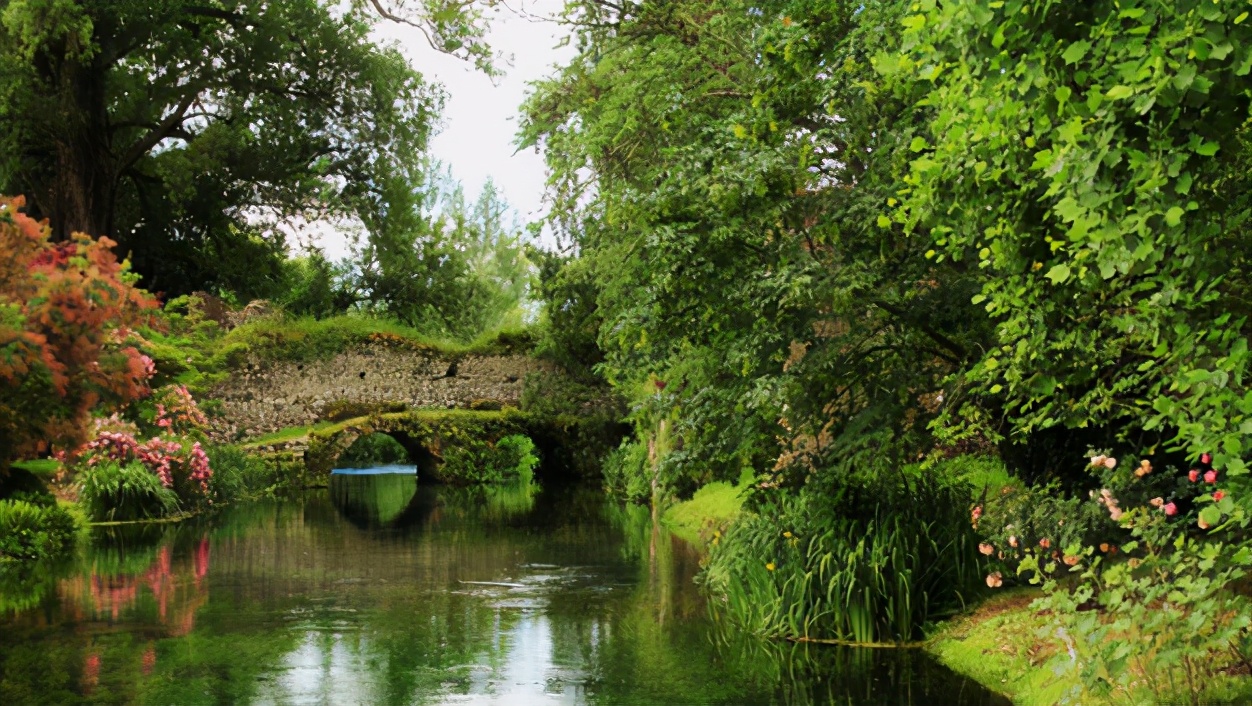 他经历破产、抑郁，却被植物治愈，成为BBC王牌节目主持人