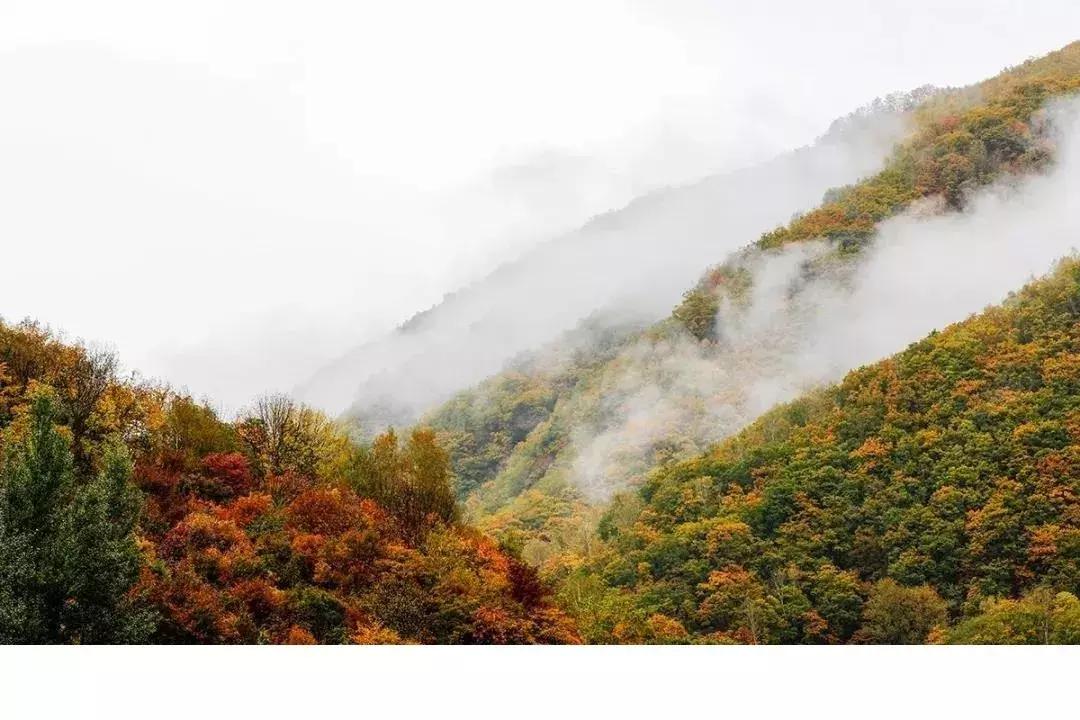 五一免门票景区吉林,十一吉林市景区免门票