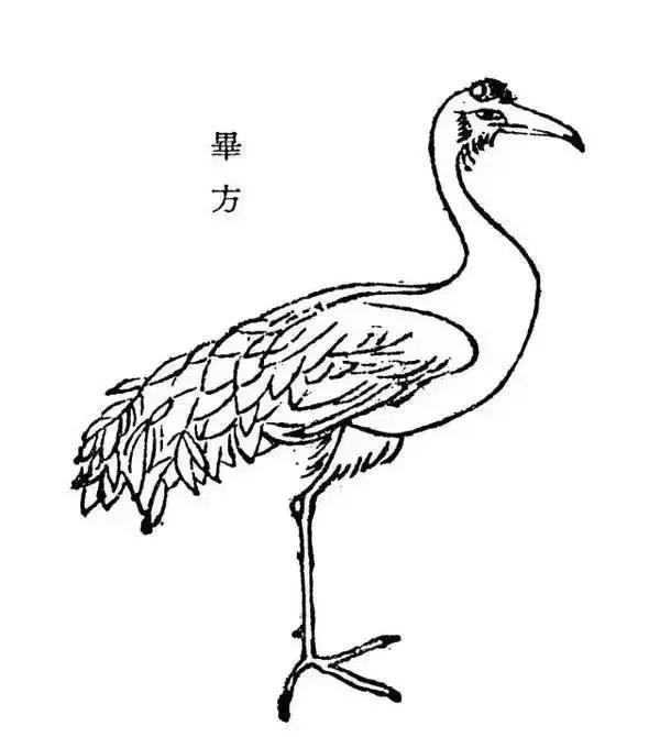 90后女孩拍稀有动物,90后女孩拍视频200万