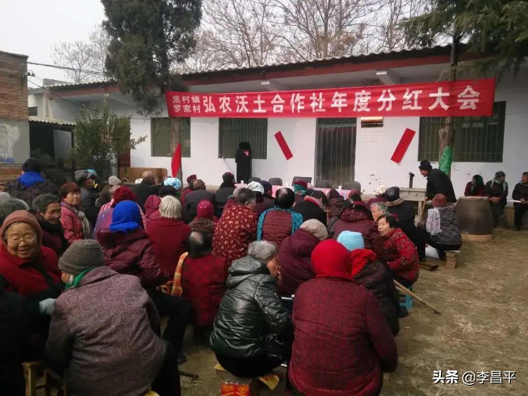 罗家村股份经济合作社,灵宝市罗家河果品专业合作社