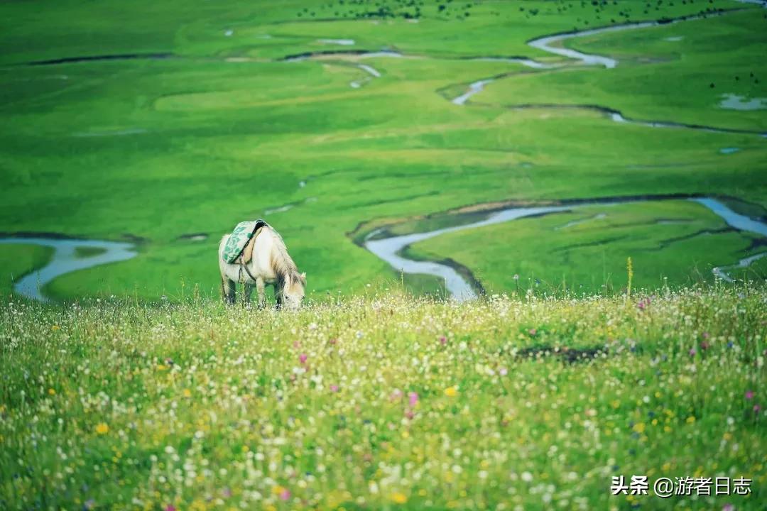 六月奔赴甘南去见证它究竟有多美,六月的甘南简直太美了