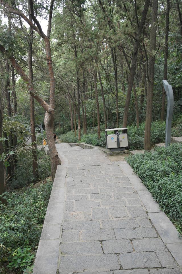 旅途故事完整视频,旅途故事全集视频