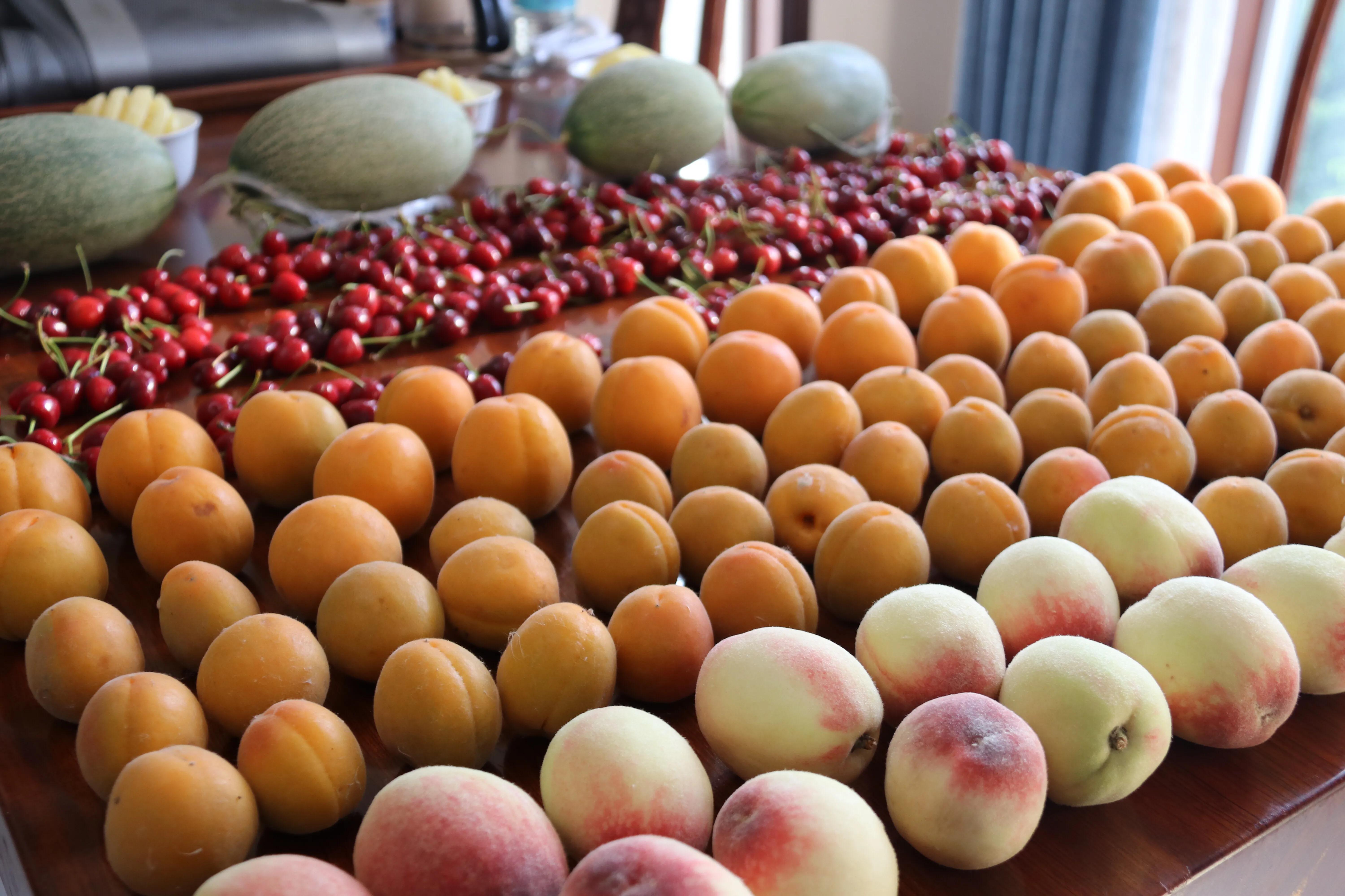 《简兮》至简生活和美食探究