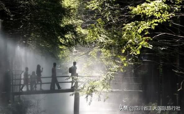 扬州瘦西湖最新旅游消息,扬州瘦西湖最美公园