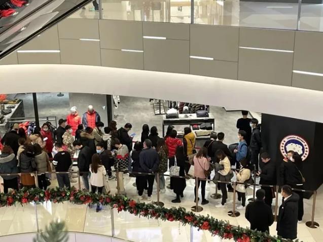 羽绒界扫地僧，将北面加拿大鹅按在地上摩擦，能抗-196℃液氮