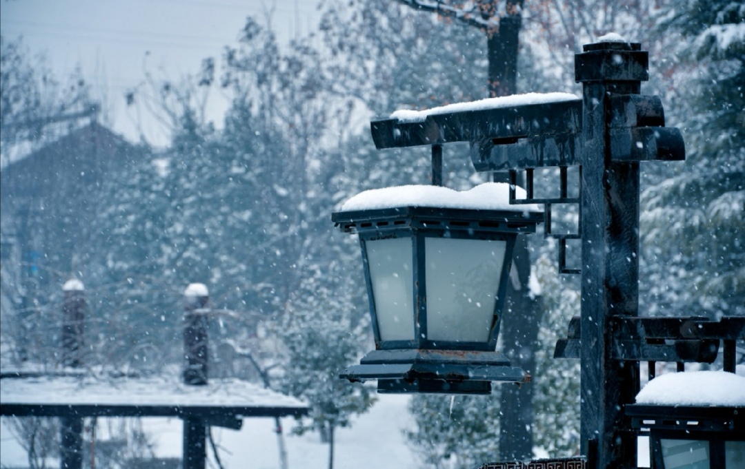 德国真的没空调吗,德国马膏真的好吗