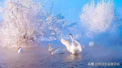 你这种脑子的女人也只能是受骗的命