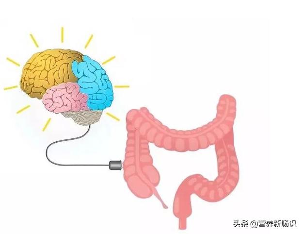 抑郁患者吞药需要做什么,吞抑郁药了怎么自救