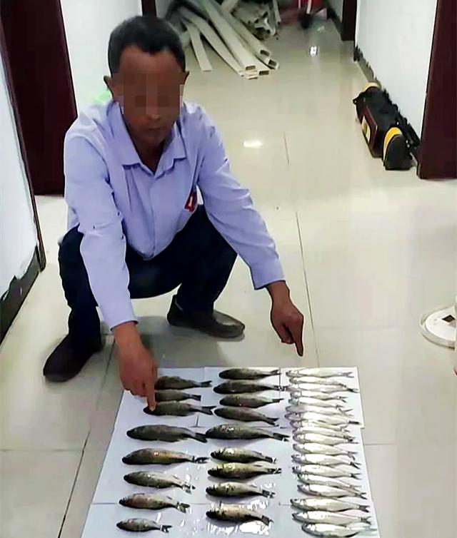 野钓处罚最新规定,钓鱼钓40斤的鱼违法吗