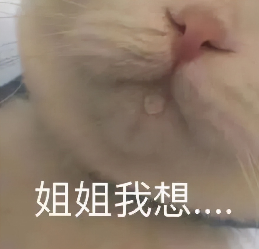 东北大姨穿彩色貂,东北大姨穿貂皮大衣