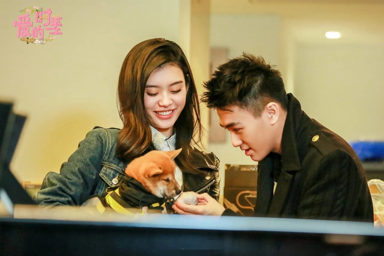 何猷君承认求婚,何猷君奚梦瑶订婚前承诺