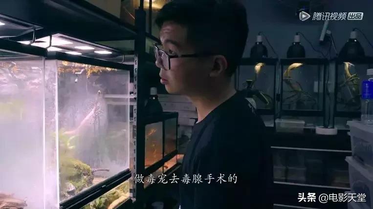 购买毒宠成瘾，甚至为此险些丧命，这是什么奇葩欲望？