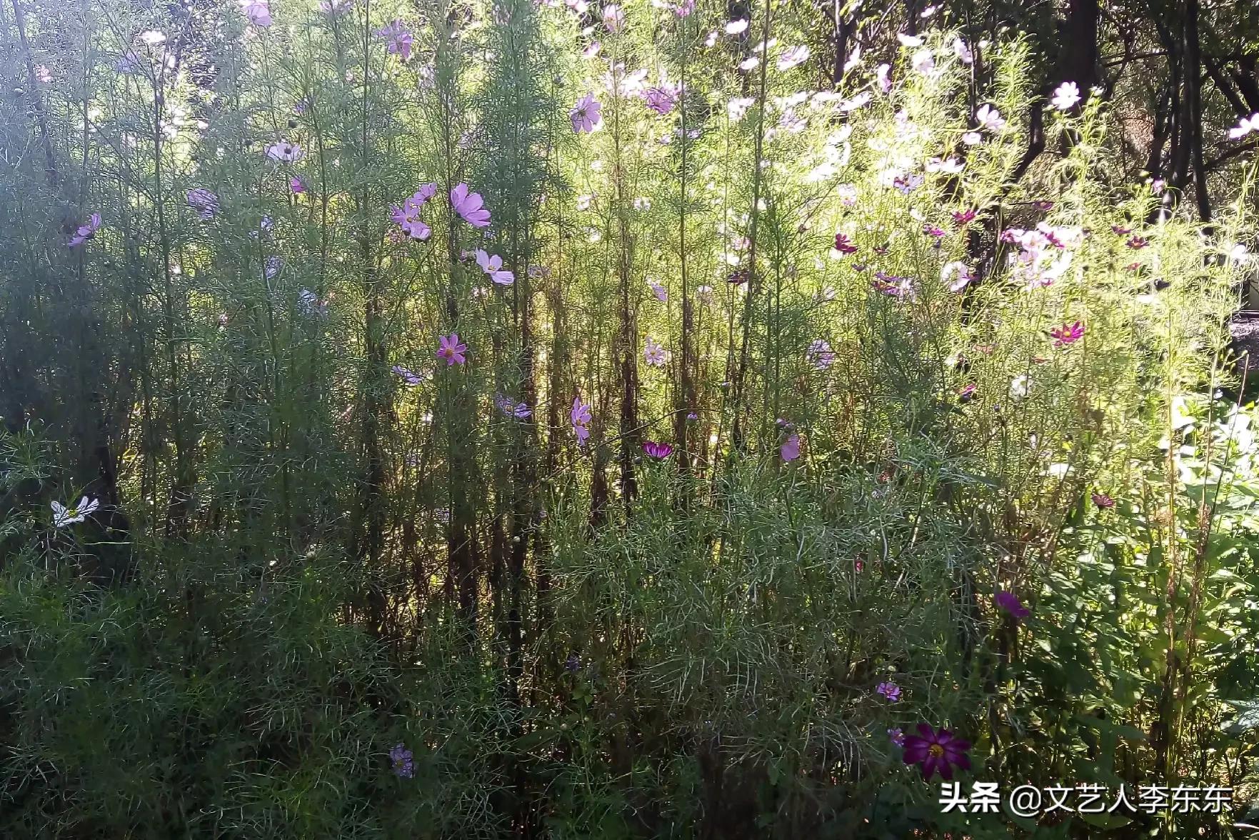 罗湖酒店优惠订房200多一晚,罗湖区酒店特价