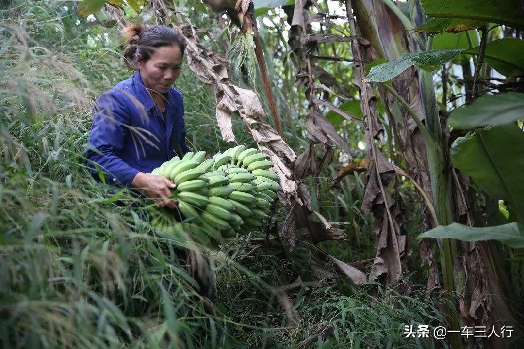 百色和贵州哪个城市交界,广西百色这个城市怎么样