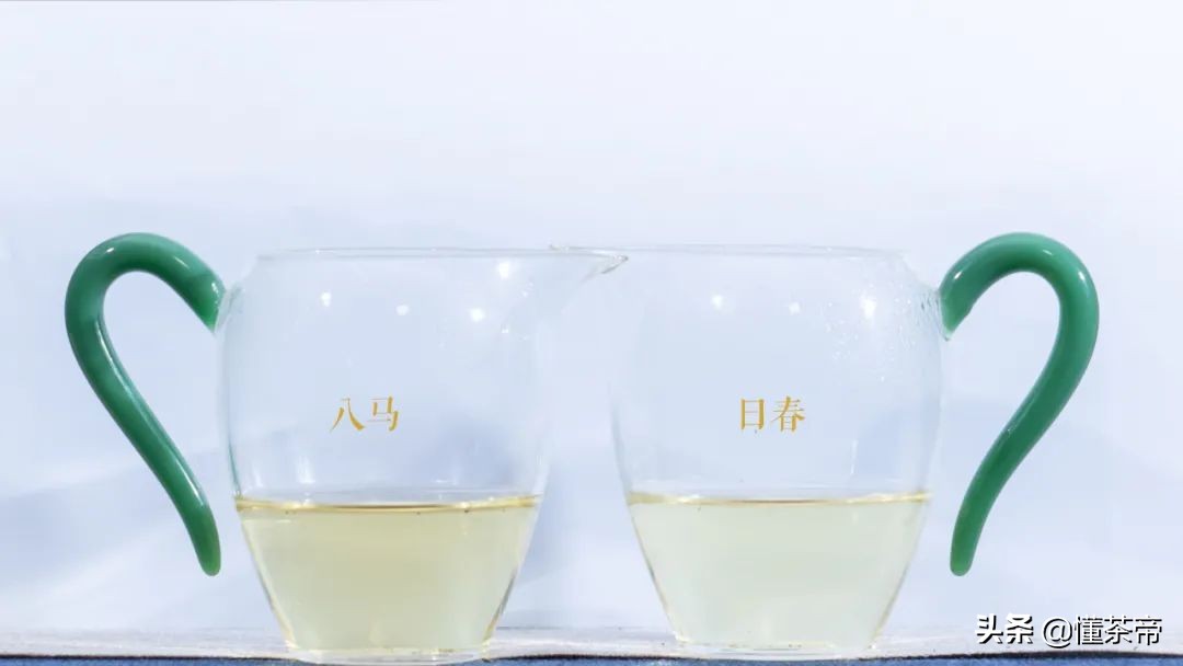 日春对比八马谁的铁观音更好,八马清香型铁观音测评