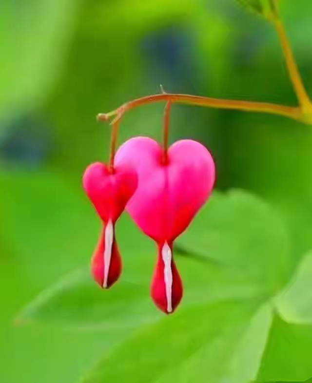 故事绘本我的老师,我的师傅故事视频