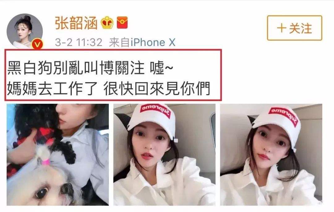 张韶涵首谈10年前被妈妈背叛,张韶涵为什么至今未婚