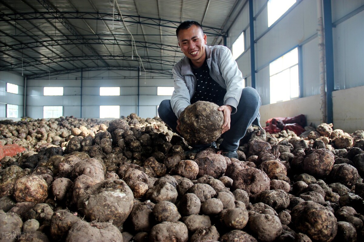 1亩地赚500元70亩地一年赚多少钱,农村暴利5亩地年赚30万