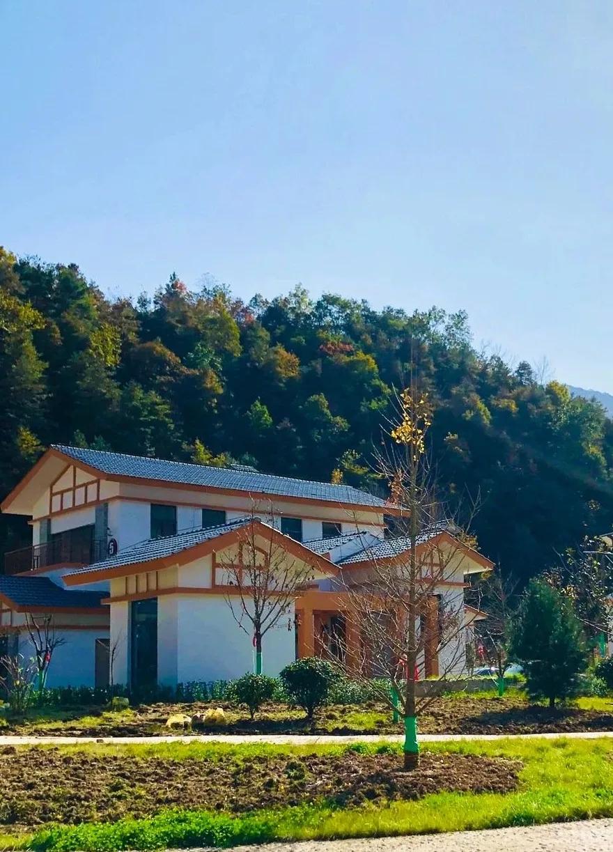 大美中国甘肃康县,央视大美中国甘肃康县