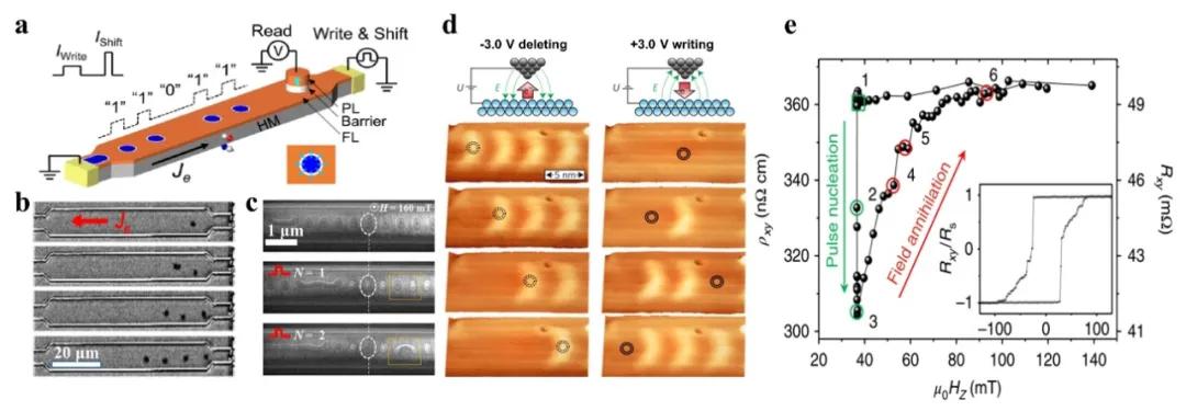 Adv.Mater:铁性薄膜和异质结拓扑结构的研究进展