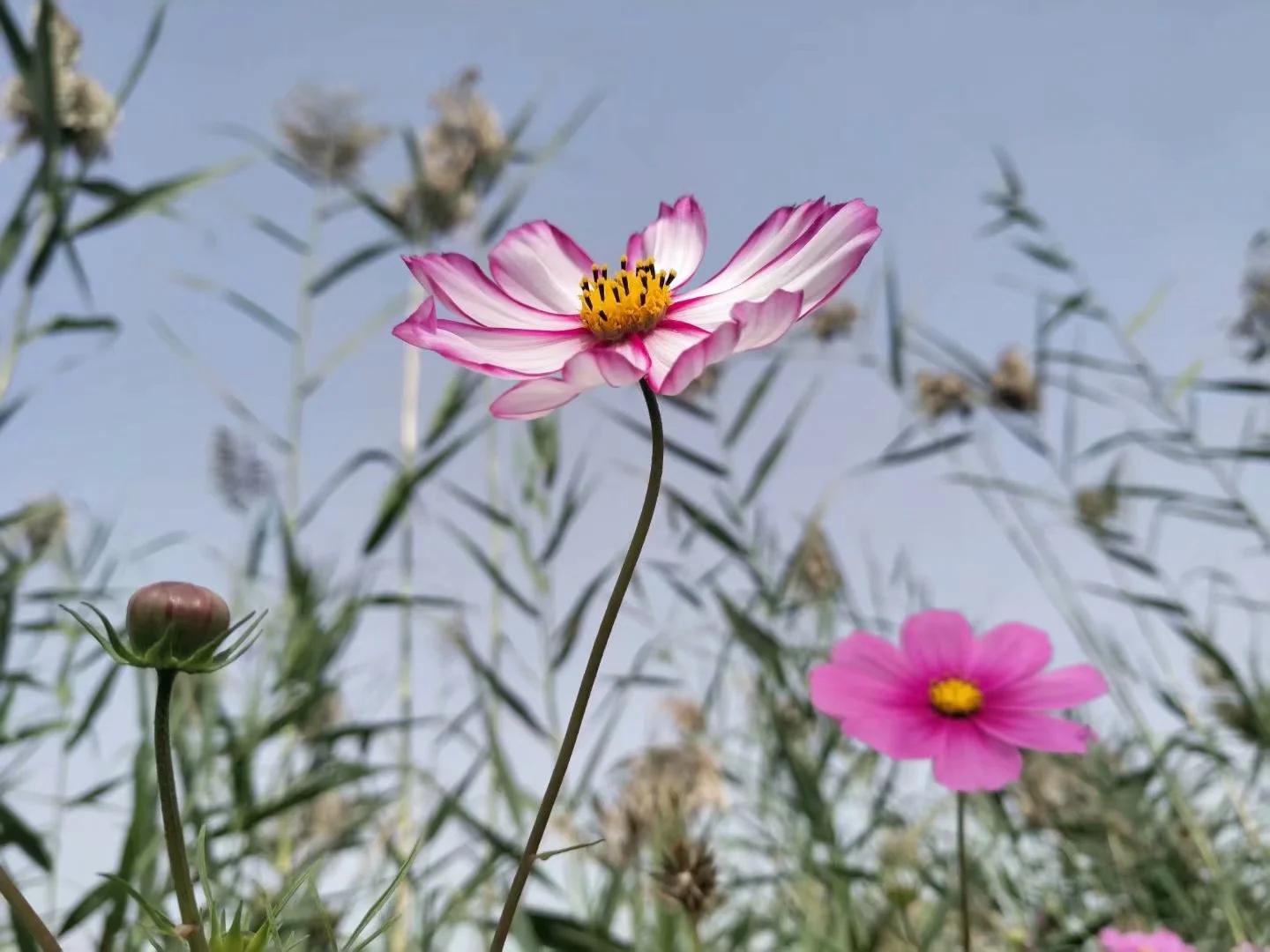 新疆南疆6天旅游攻略完整版,从库车出发新疆旅游攻略