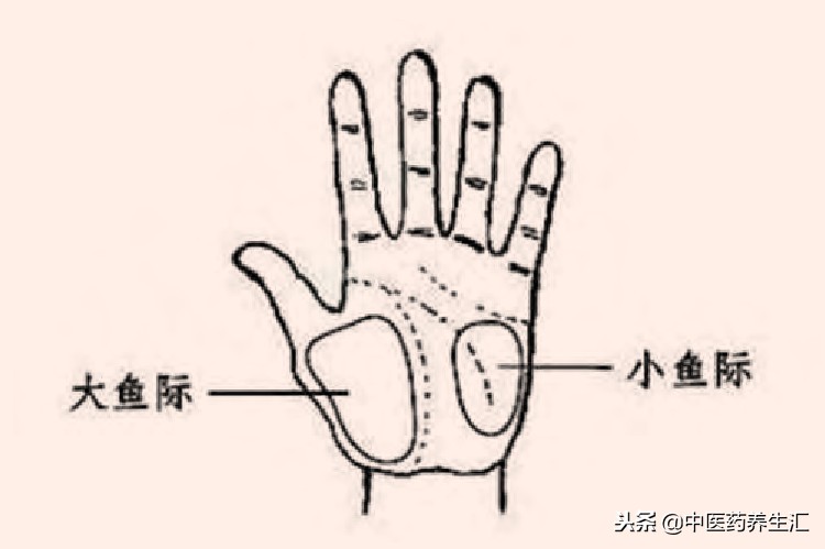 手诊面诊识疾病,手诊手相