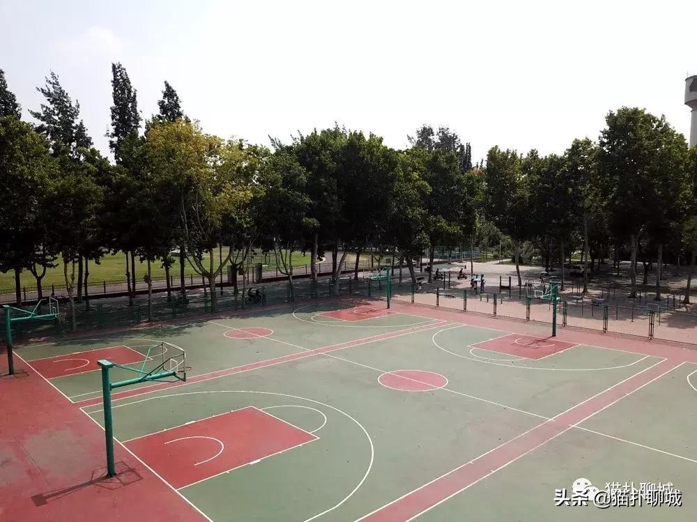 山东聊城室外篮球场,聊城篮球野球场