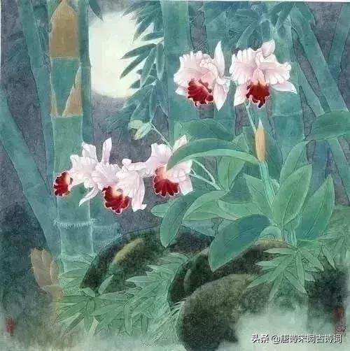 古人幽默古诗,趣味古诗跟读