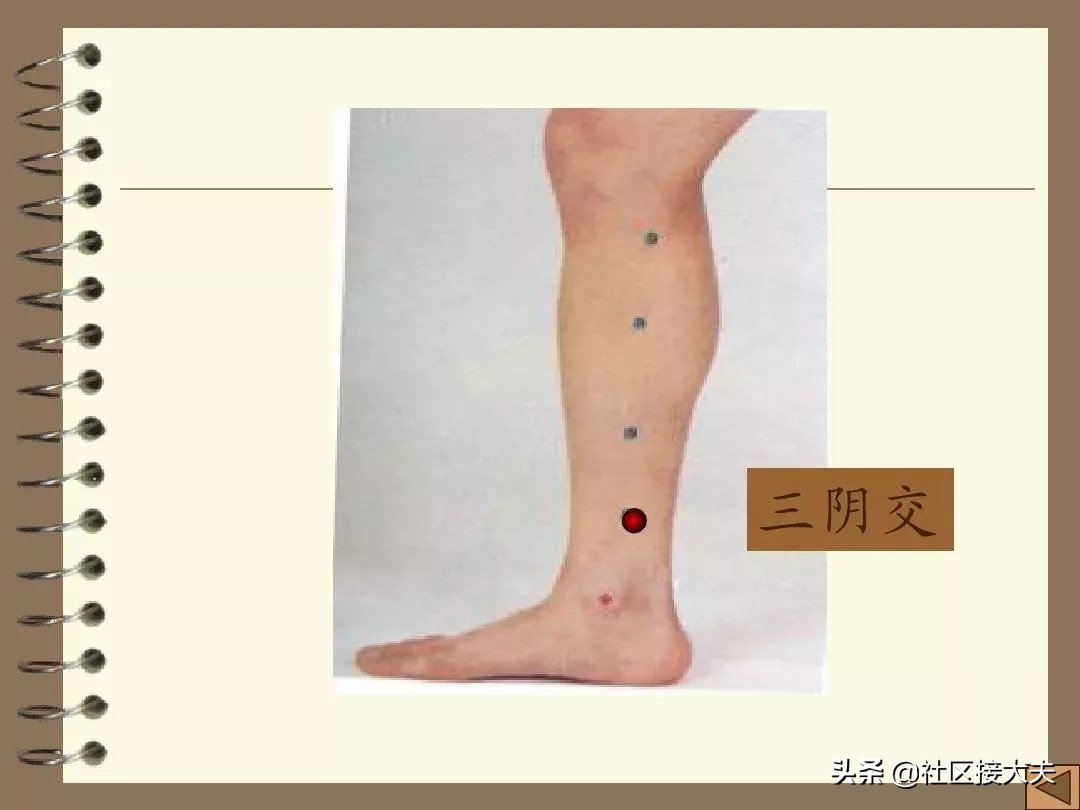 常见病针灸穴位,刘红云针灸治疗泄泻