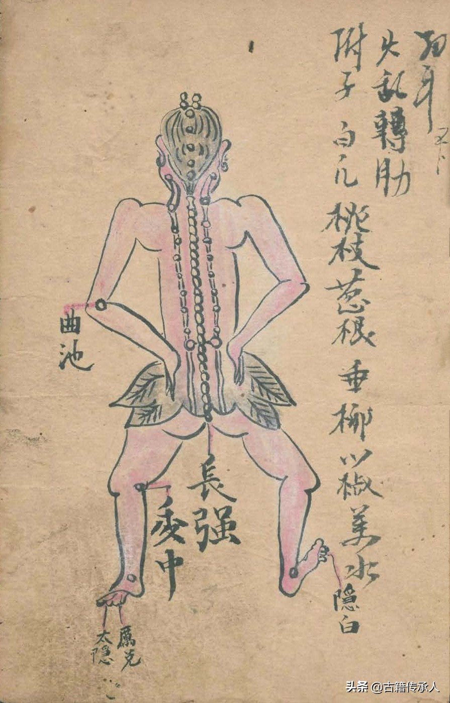 中医针刺放血疗法书,中医古籍阴阳针