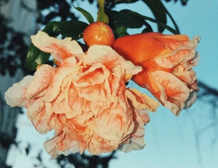 一首经典古诗词书法作品,十三言诗13首书法