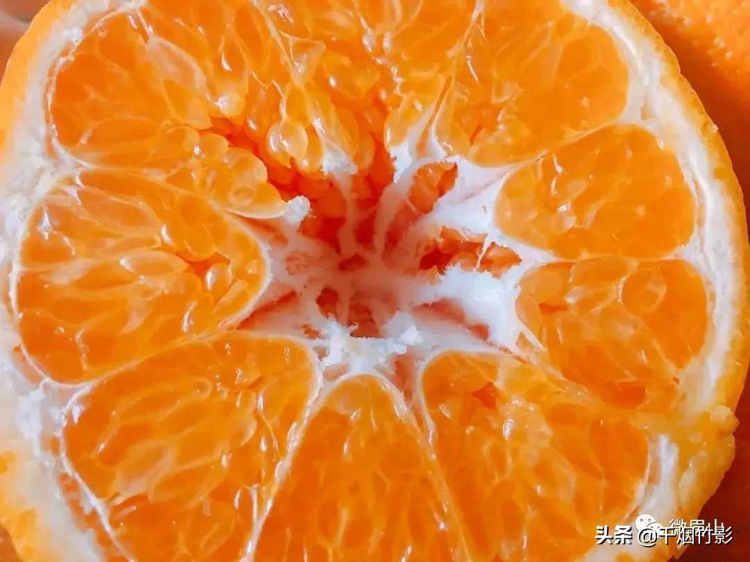 不知火春见,不知火丑橘春见