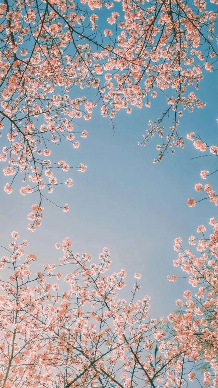 光是相遇就是一件很浪漫的事情了,原来相遇是一场宇宙级别的浪漫