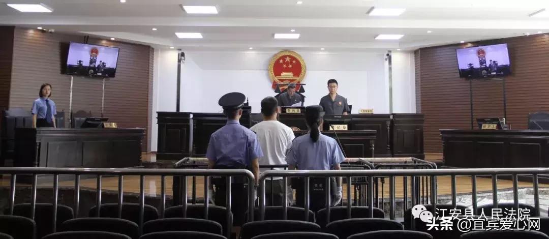 长记性啦，为啥在宜宾不能乱捕泥鳅黄鳝？江安县法院有话说