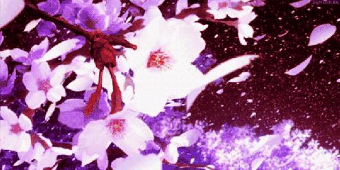 少女体香是什么意思,因为体香被搭讪