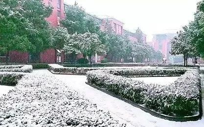 上海新晋10所黑马小学大盘点,上海最出名的十所小学