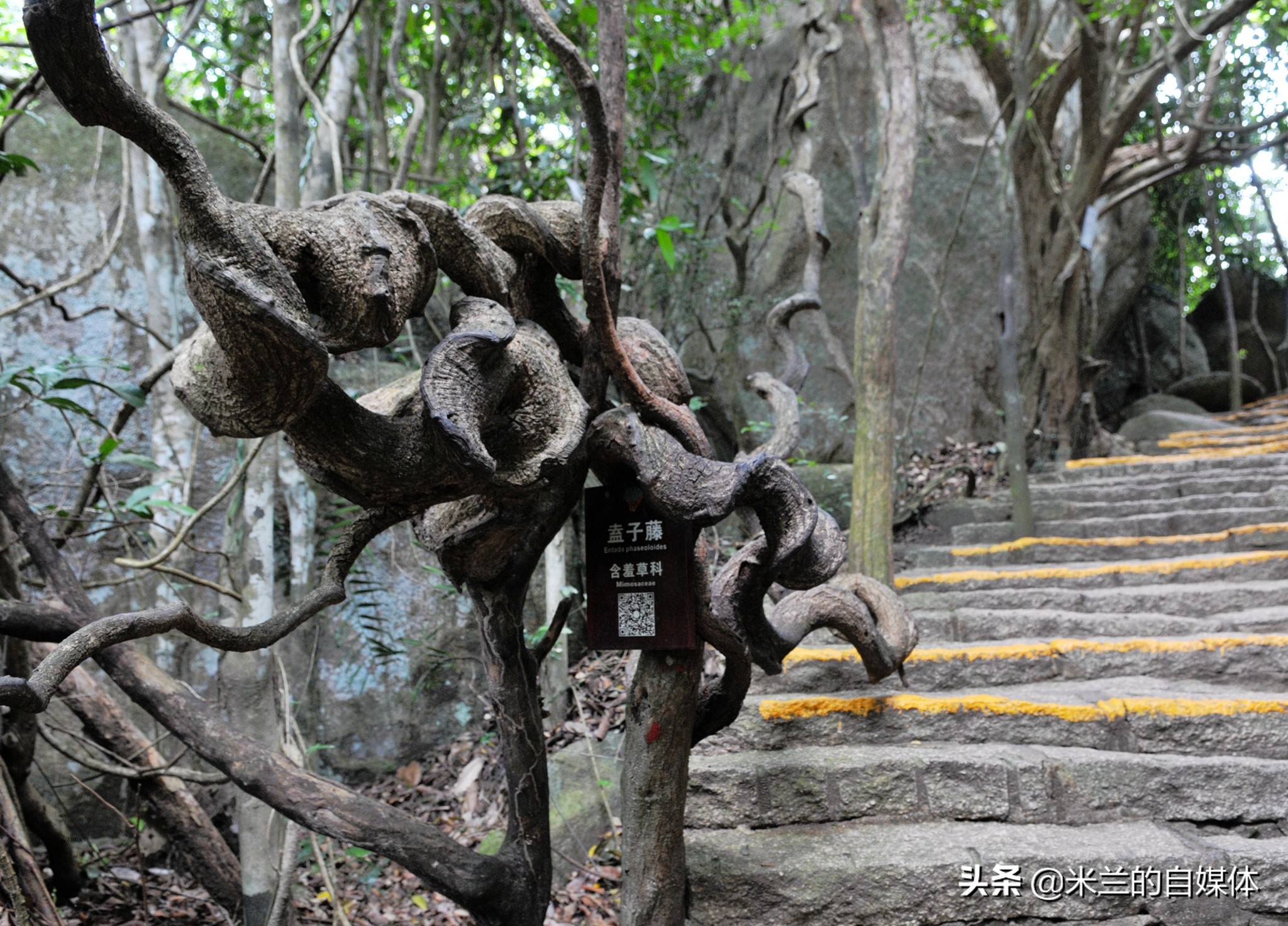 三亚旅游攻略美食推荐,三亚旅游美食攻略自由行