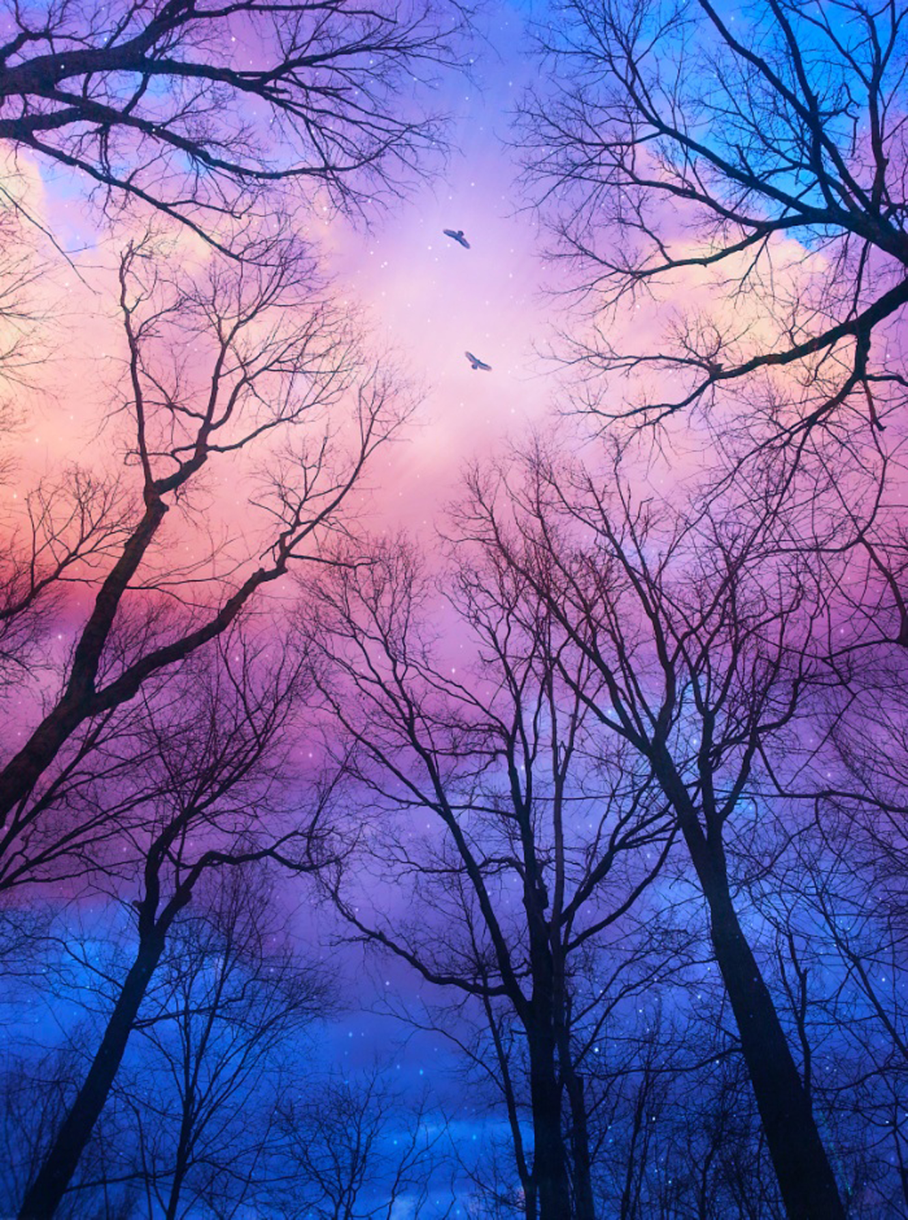 如何找到自己想要的高清素材,关于烦恼的素材