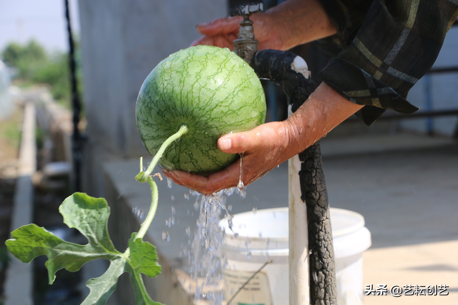 湖北标志性农产品,全国农产品地理标志目录四川